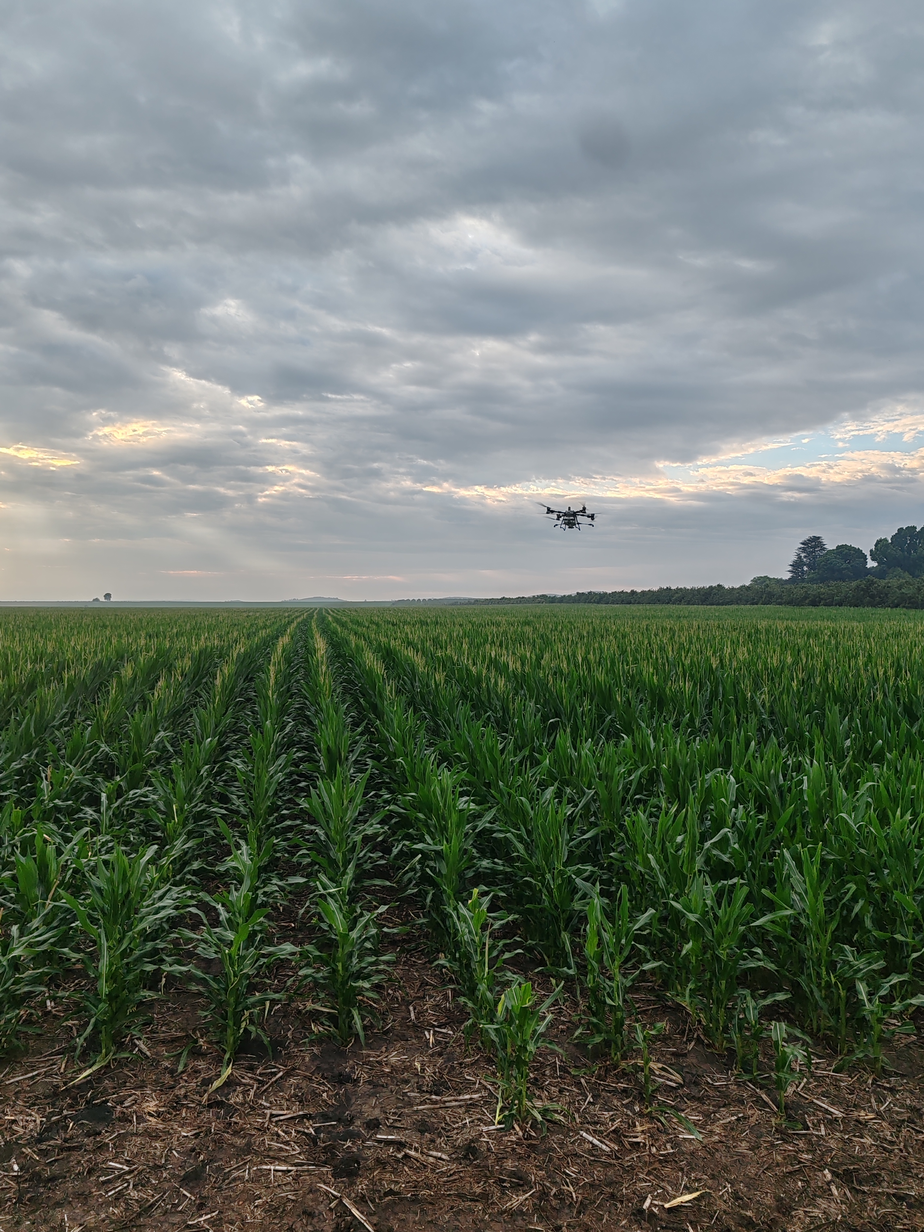 Drone image 2