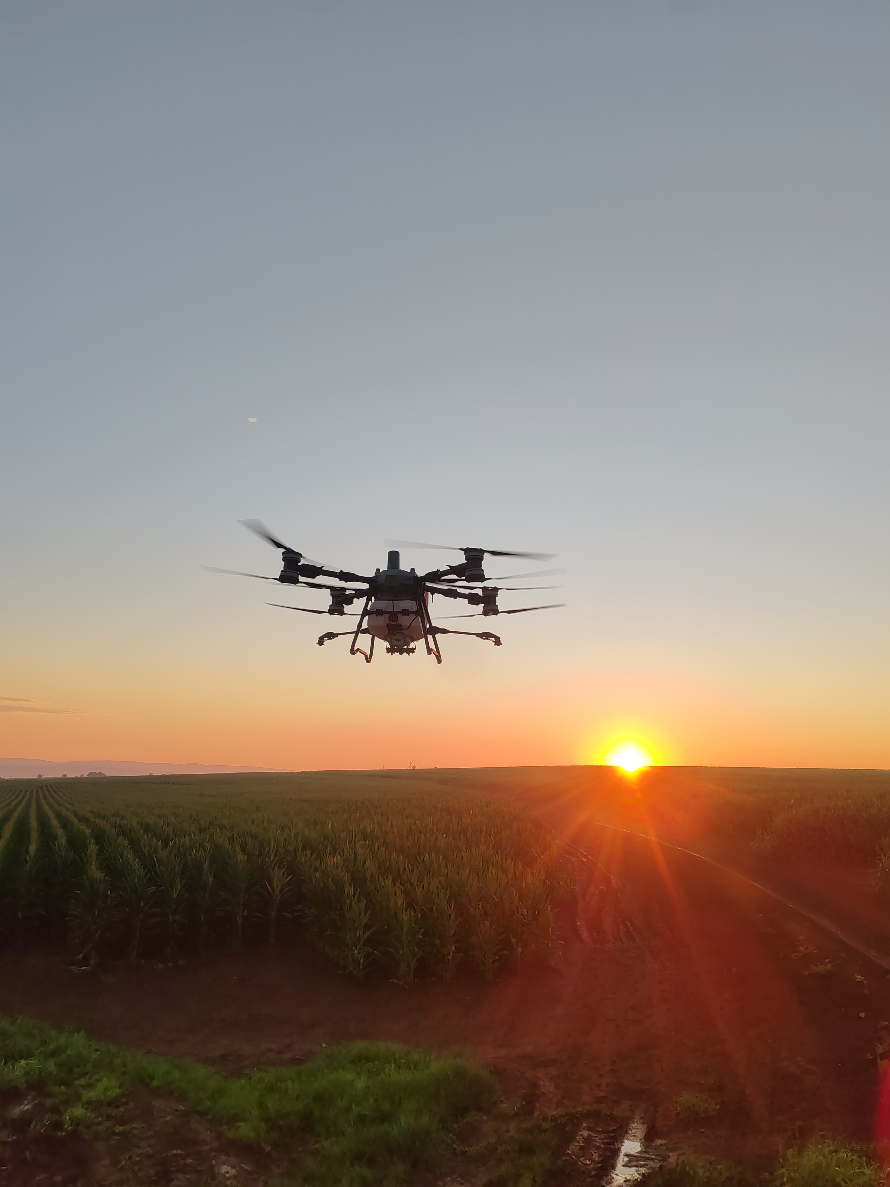 Drone image 5