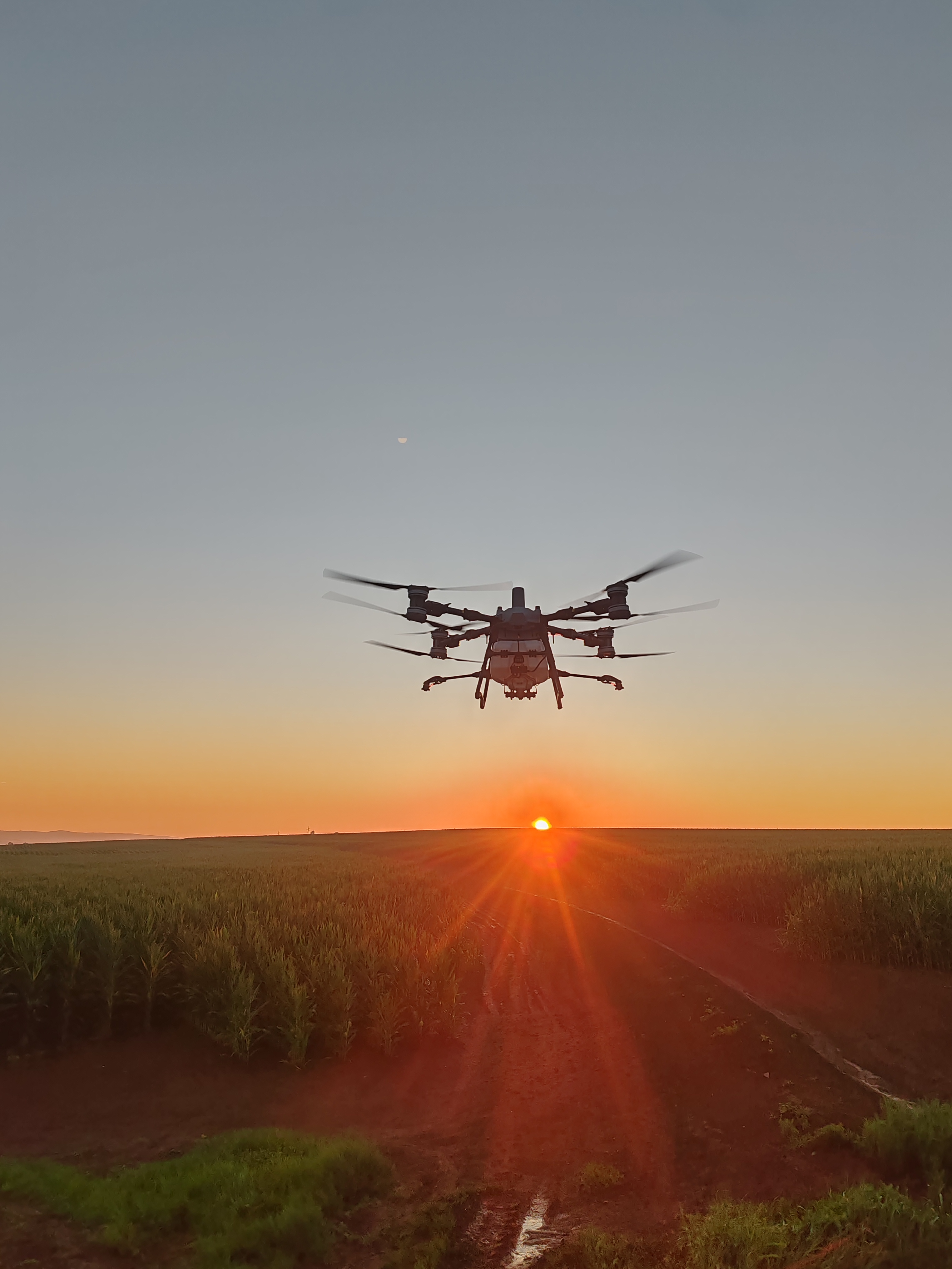 Drone image 6